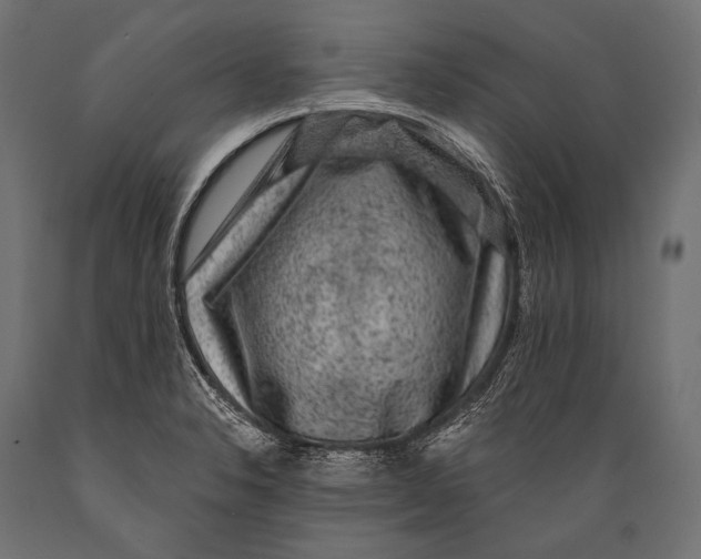 X0000088881326200706291554