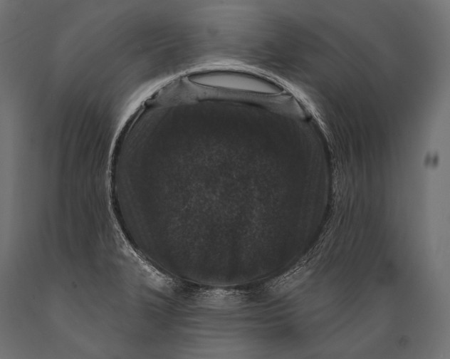 X0000088881327200706291554