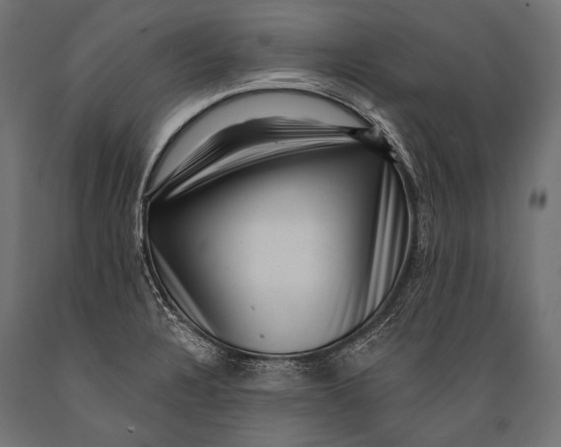 X0000088881328200706291554