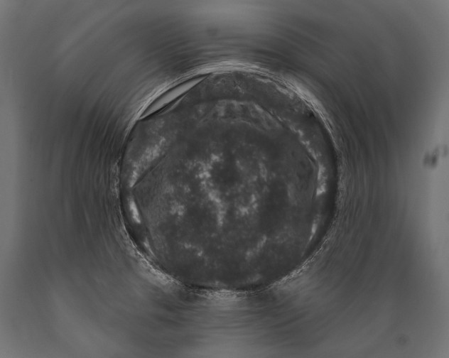 X0000088881329200706291554