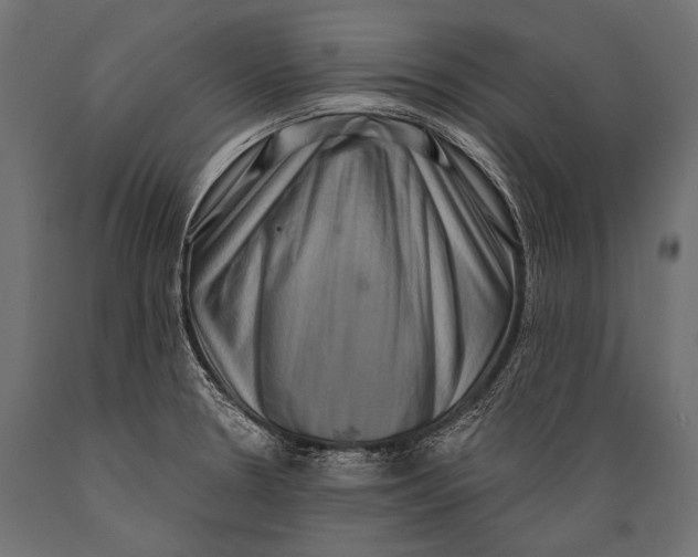 X0000088881330200706291554