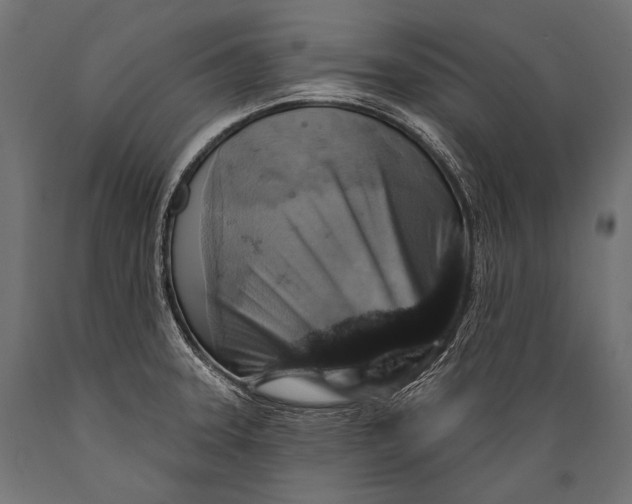 X0000088881331200706291555