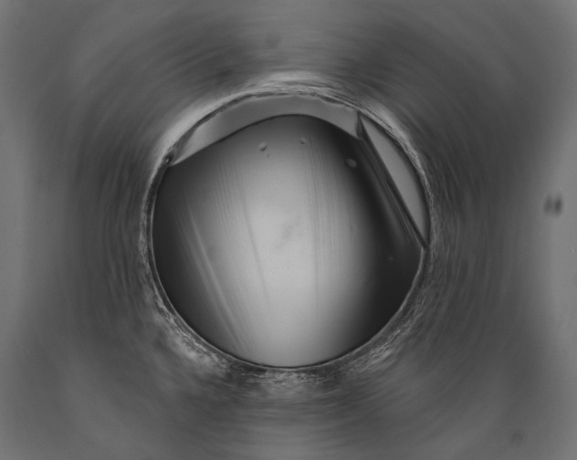 X0000088881336200706291555