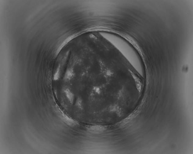 X0000088881337200706291555