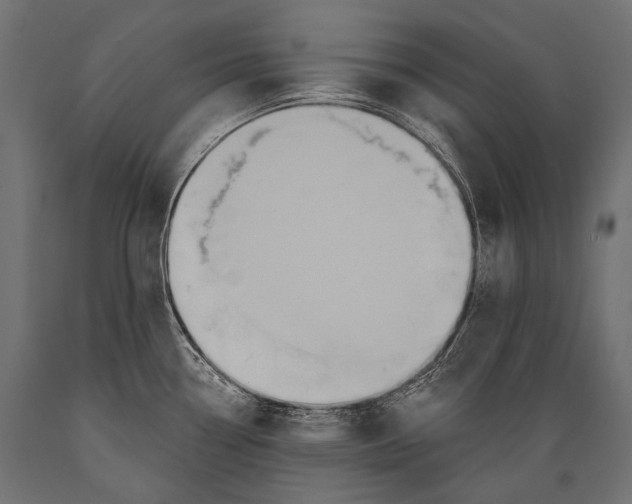 X0000088881338200706291555