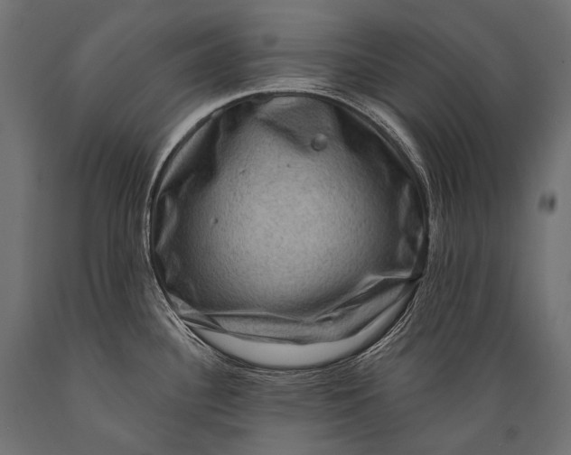 X0000088881340200706291555