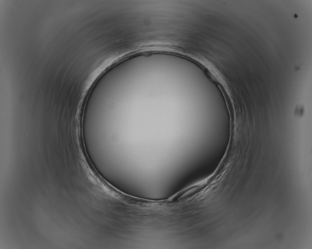 X0000088881341200706291555