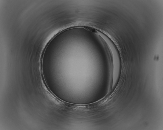 X0000088881342200706291555