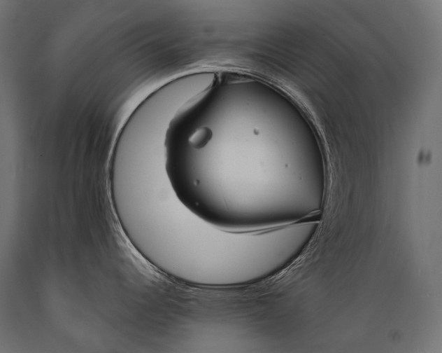 X0000088881344200706291555