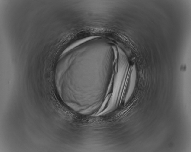 X0000088881345200706291554