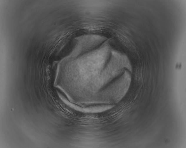 X0000088881346200706291554