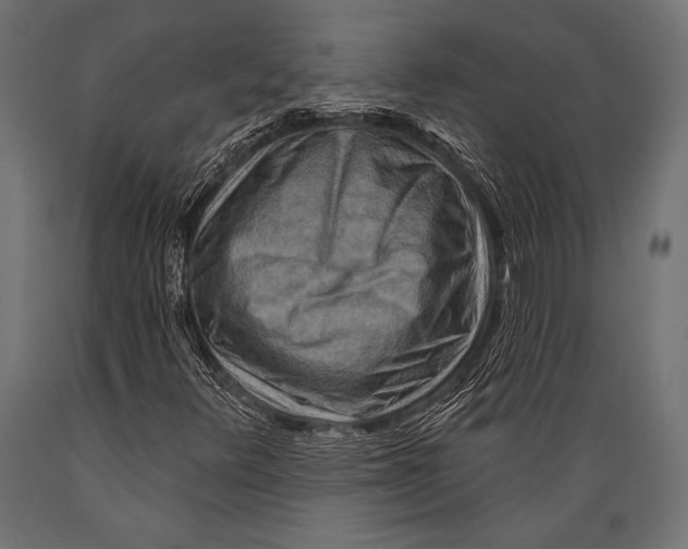 X0000088881348200706291554