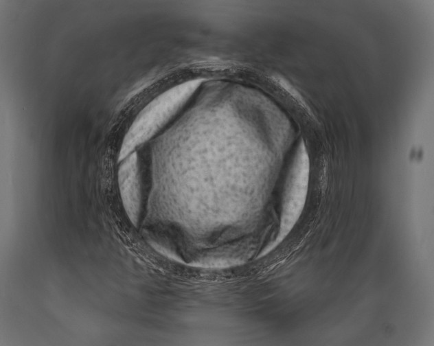 X0000088881350200706291554