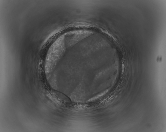 X0000088881351200706291554