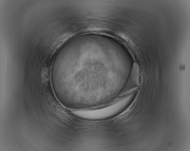 X0000088881353200706291554