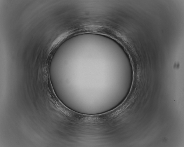 X0000088881354200706291554