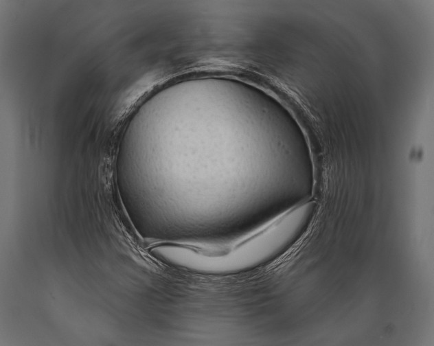 X0000088881355200706291554