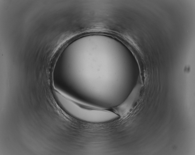 X0000088881356200706291554