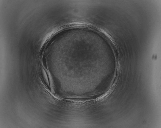 X0000088881357200706291554