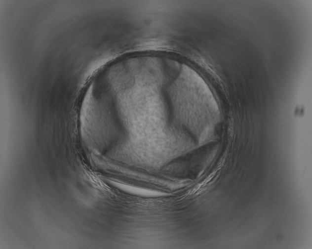 X0000088881358200706291554