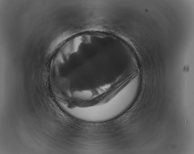 X0000088881359200706291554