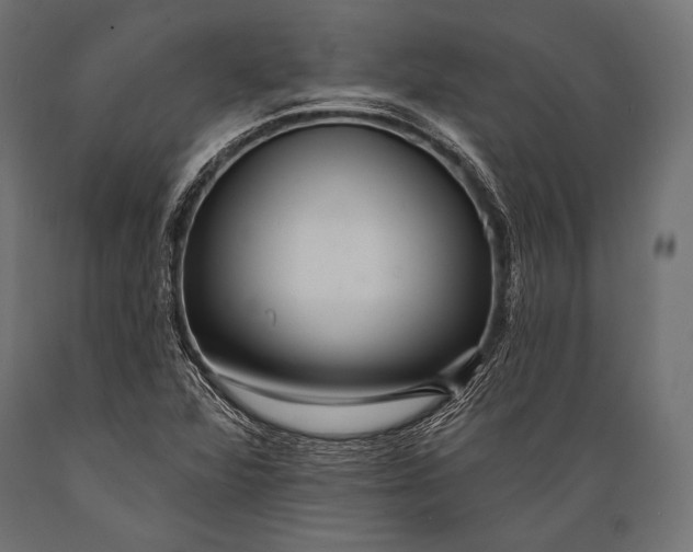 X0000088881360200706291554