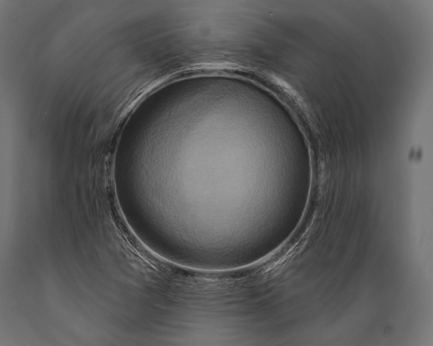 X0000088881361200706291554