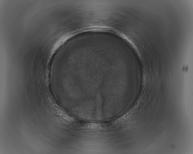 X0000088881362200706291554