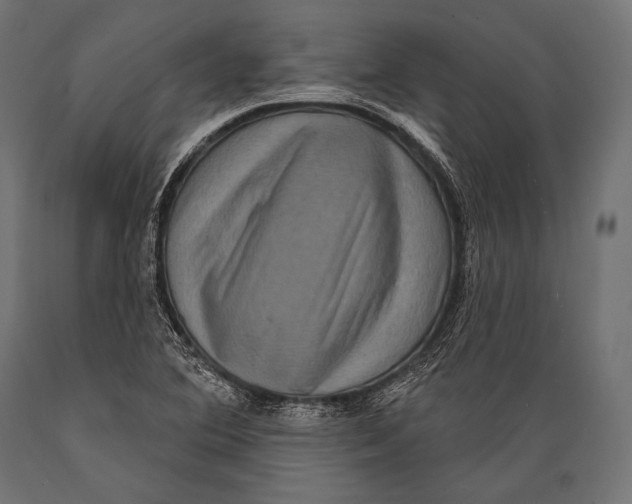 X0000088881364200706291554