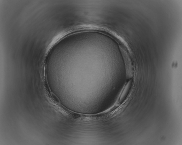 X0000088881365200706291554