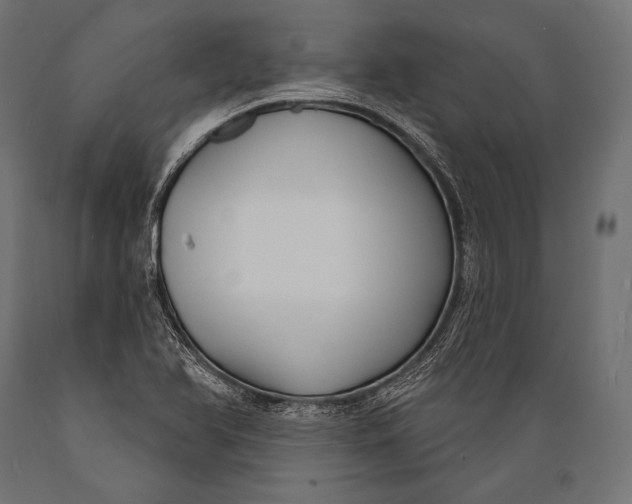 X0000088881366200706291554