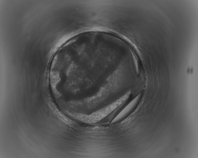 X0000088881367200706291554