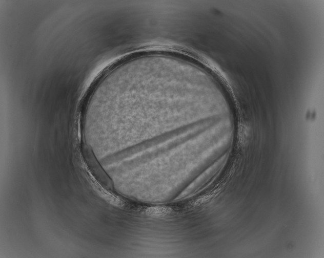 X0000088881368200706291554