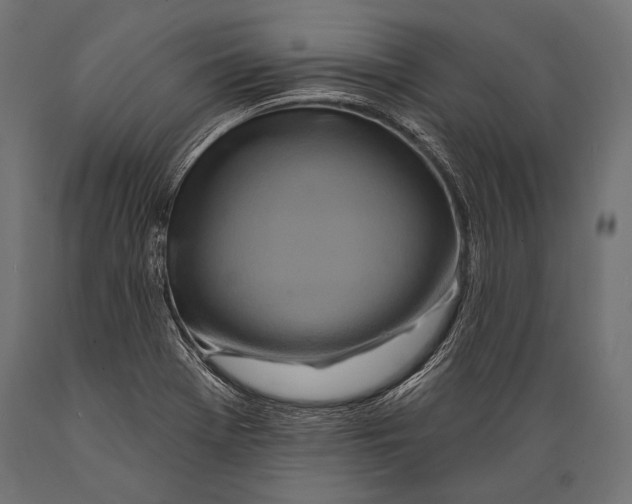 X0000088881369200706291554