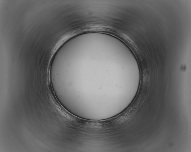 X0000088881370200706291554