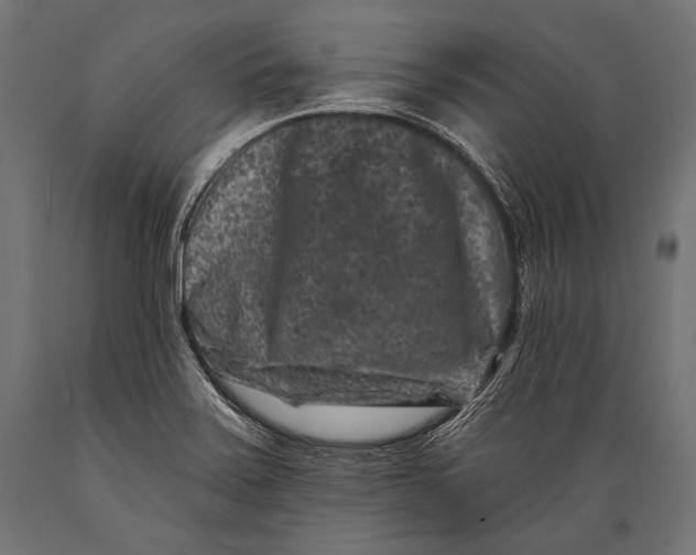 X0000088881371200706291554