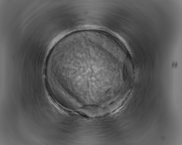 X0000088881373200706291553