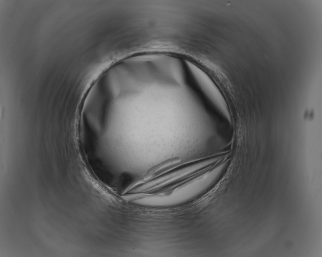 X0000088881374200706291553