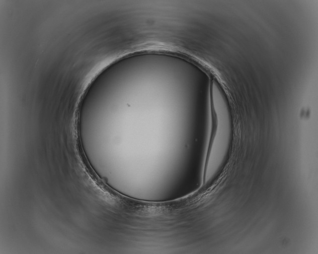 X0000088881375200706291553