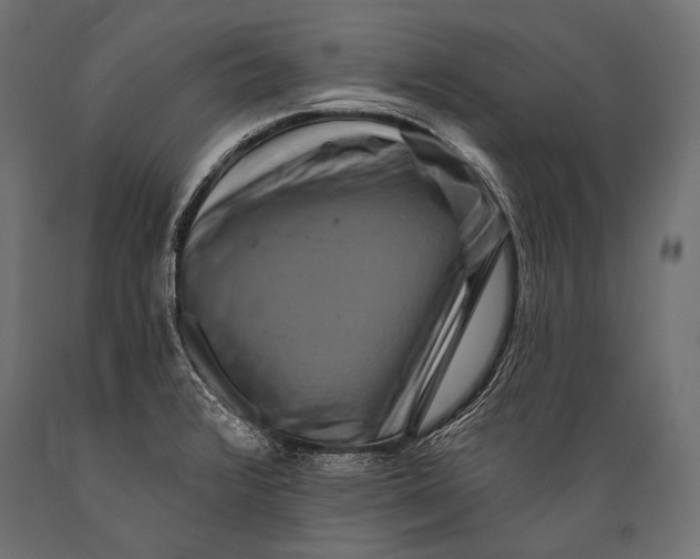 X0000088881376200706291553