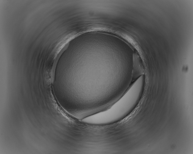 X0000088881377200706291553