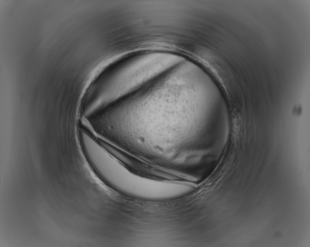 X0000088881379200706291553