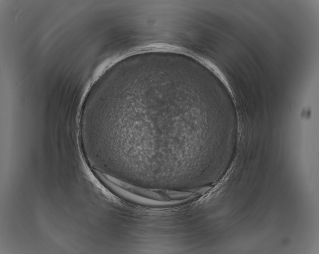 X0000088881381200706291553