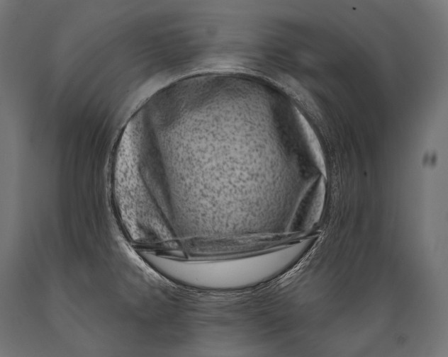 X0000088881382200706291553