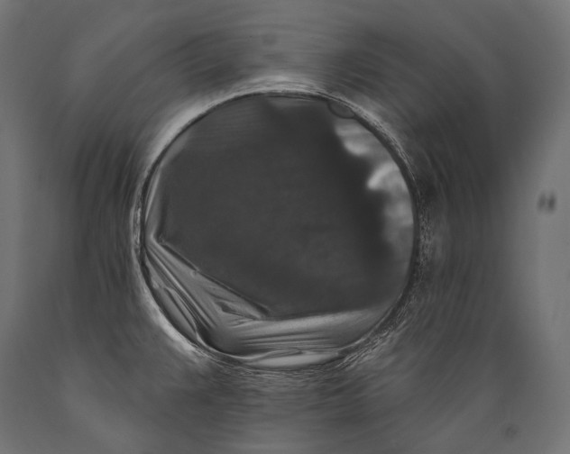 X0000088881383200706291553