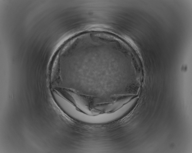 X0000088881384200706291553