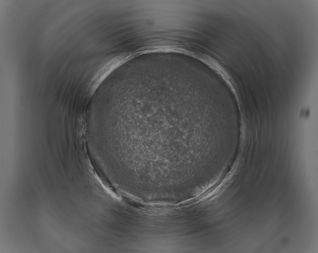 X0000088881385200706291553