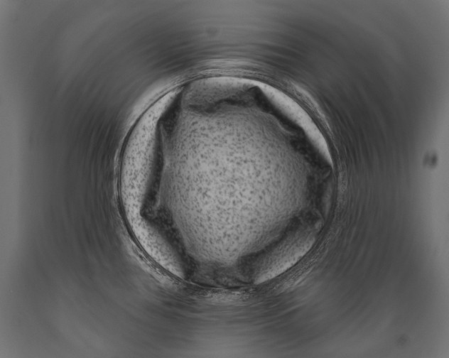 X0000088881386200706291553