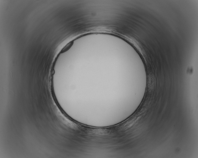 X0000088881387200706291553