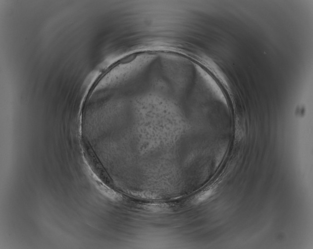 X0000088881388200706291553